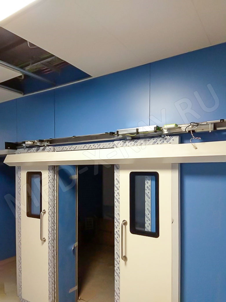 СПб ГБУЗ «Городская больница Святого Великомученика Георгия»