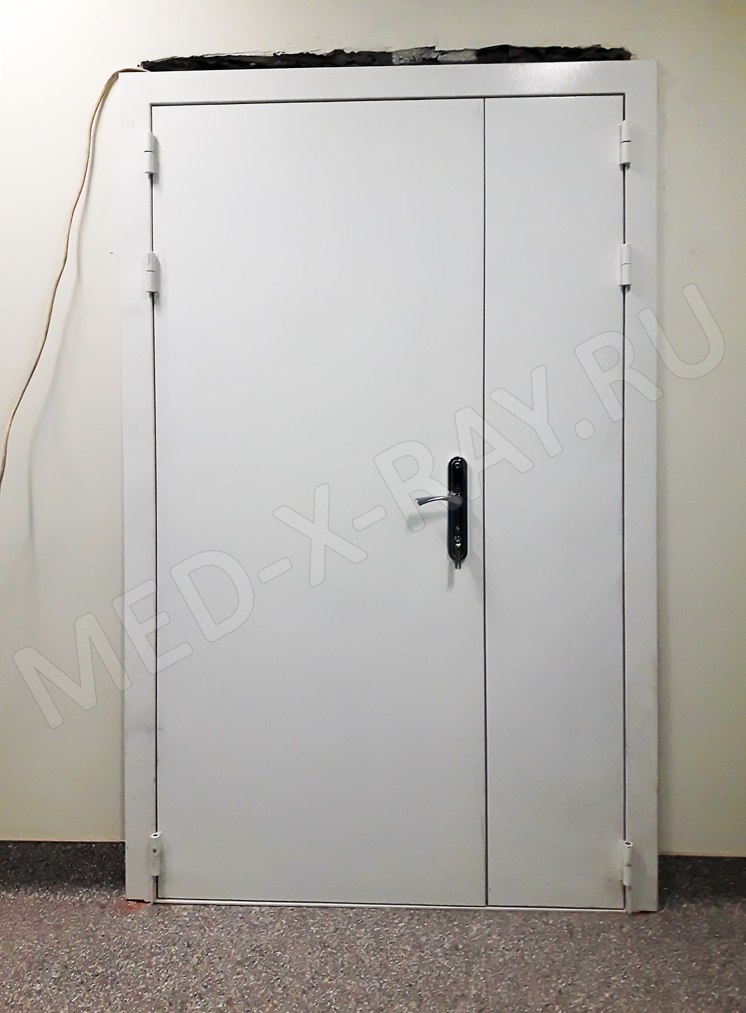 «Перинатальный центр» г. Пенза Дверь рентгенозащитная двупольная